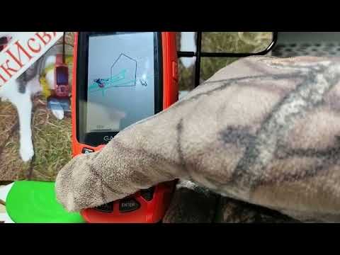 Видео: настраиваю геозону в Гармин Альфа 50