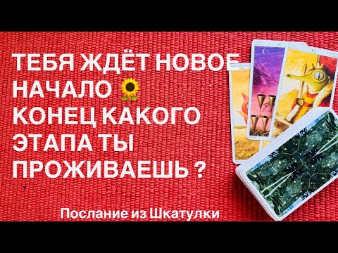 Видео: 🌻ТЕБЯ ЖДЁТ НОВОЕ НАЧАЛО | ТАРО ПОСЛАНИЕ #таро#шкатулка#ресурсы#даров 