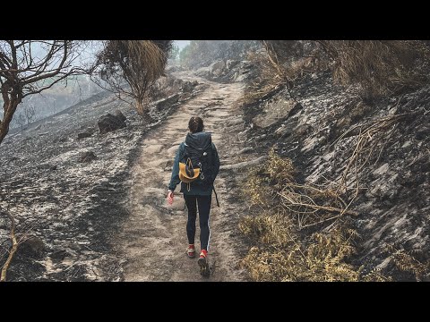 Видео: 7й день Камино. Серралло - Рамильоса. 