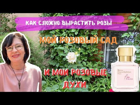 Видео: Как сложно вырастить розы | Мой розовый сад | Мои розовые духи | Francis Kurkdjian L'eau A La Rose