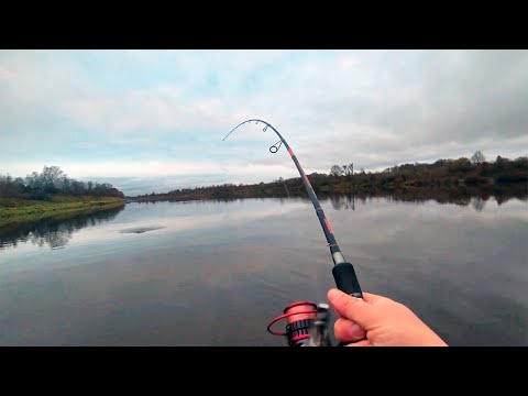 Видео: РЫБАЛКА НА ЗАПАДНОЙ ДВИНЕ В НОЯБРЕ|РЫБАЛКА НА ДЖИГ. 