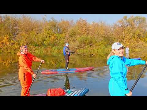 Видео: Золотая SUP осень на Оке 11102025