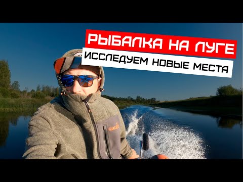 Видео: Рыбалка на реке Луга, исследуем новые места.