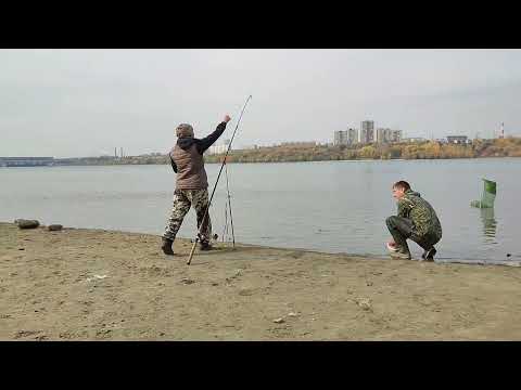 Видео: Осенняя рыбалка на Оби. Бешеный клёв Язя!