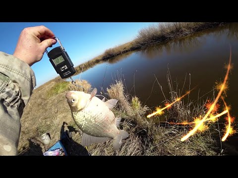 Видео: Леска трещала, удочки гнулись  Вот это рыбалка. Осенний жор.