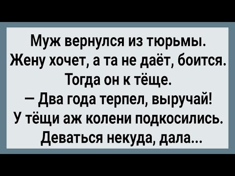 Видео: Как Зять Из Тюрьмы Вышел! Сборник Свежих Анекдотов! Юмор!