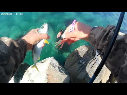 Видео: Скумбрия,терпуг,лакедра,Кета, бычок-монстр...👍🎣🐟