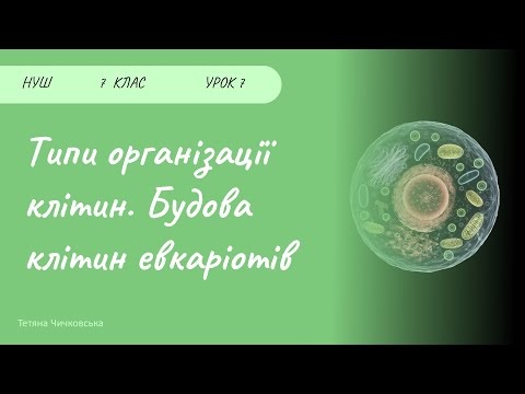 Видео: Типи організації клітин. Будова клітини евкаріотів