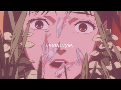 Видео: ⋘sqwore - аквариум⋙ slowed + reverb