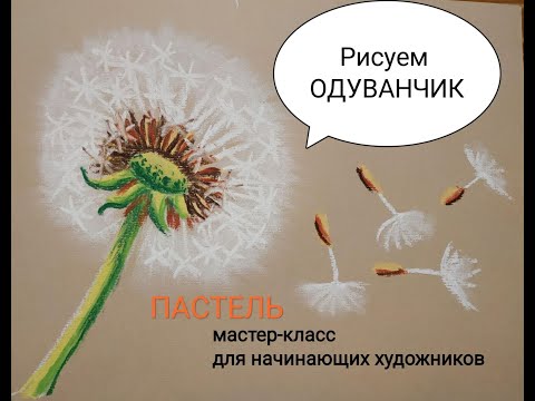 Видео: Как нарисовать одуванчик пастелью. Мастер-класс для начинающих художников. @sadova_julija Инстаграм