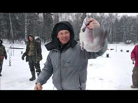 Видео: Сегодня работает Вильямс "Божья коровка". Клёв до и во время запуска на Верхнем. Клёвое место лосины