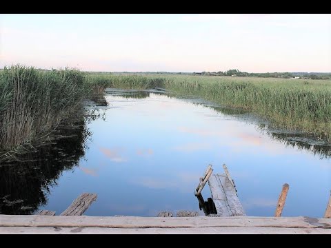 Видео: Современное состояние реки Богучарка от истока до устья.