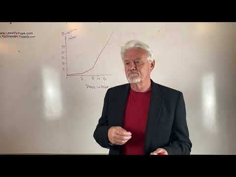 Видео: Как сдать анализ на прогестерон, чтобы получить самый большой помет