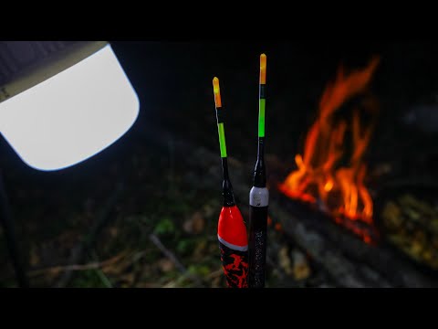 Видео: Нічний поплавок це ЩОСЬ.Листопад на Ужу,а СОм дуріє По 2 штуки за покльовку