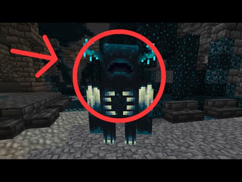 Видео: Майнкрафт Варден өлтірдік🔪😈