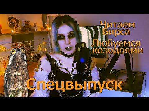 Видео: Читаем ужасы Бирса с козодоями в самый страшный день в году!