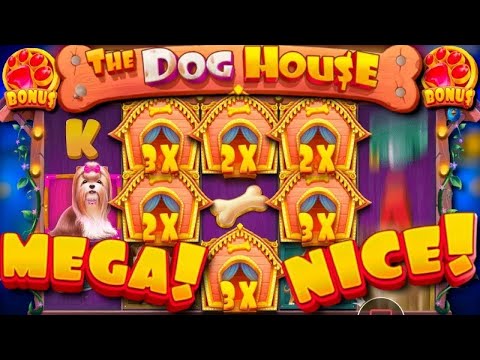 Видео: Занос The Dog House! Бонуска на ???х