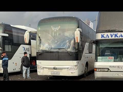 Видео: Москва Ташкент автобус 🚌 🇸🇮+79296934997 🇸🇱+998932430055 прямой рейс 30.10.2025 15:00