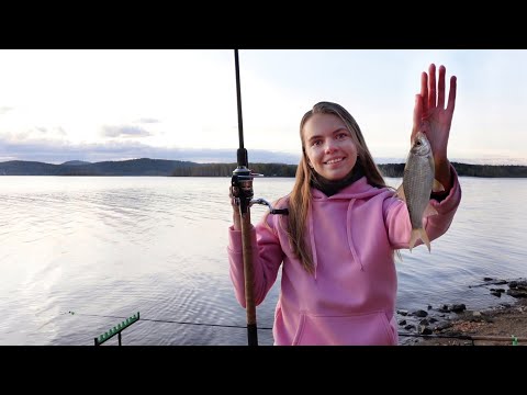Видео: В ПОИСКАХ ПОКЛЕВОК НА ФИДЕР ОСЕНЬЮ. Рыбалка на водохранилище.