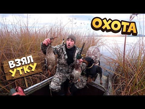 Видео: Охота на утку в Страхолесье. Утка в Афганском казане с яблоками