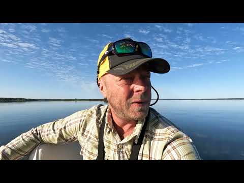 Видео: Осенью бывают и такие рыбалки! Ловля СУДАКА на ЯУЗЕ! Рыбалка на СПИННИНГ в сентябре!