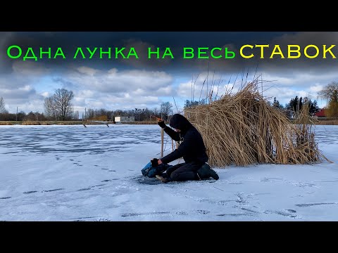 Видео: Єдина лунка на якій, клювала риба!