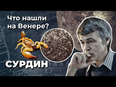 Видео: Владимир Сурдин. ЗАГАДОЧНЫЕ находки на Венере. Жизнь на Венере возможна?