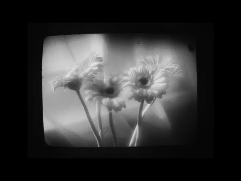 Видео: Лезем внутрь объектива пленочного фотика и болтаем