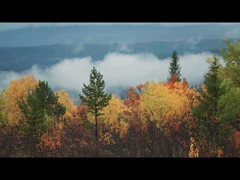 Видео: Abagar Quartet - Painted Spindle | Кожильо писан и шерян [Official Visualizer]