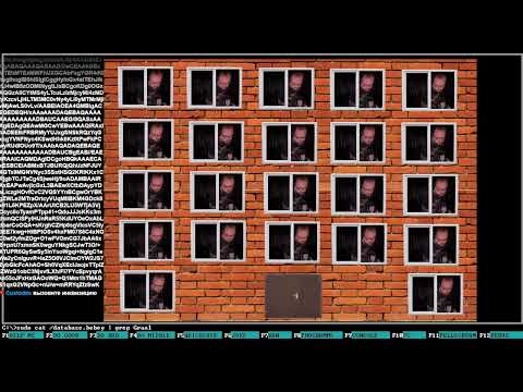Видео: Бэбэй балуется с настройками камеры