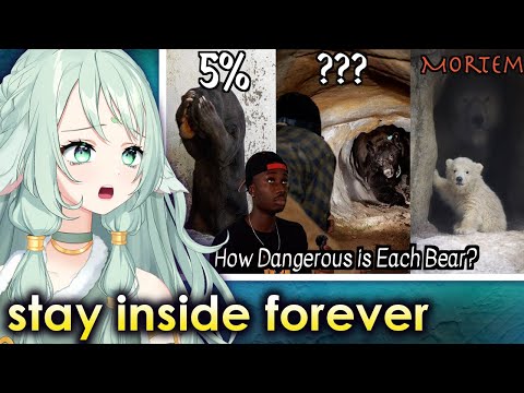 Видео: Каждый медведь и его шансы лишить вас жизни | Casual Geographic React