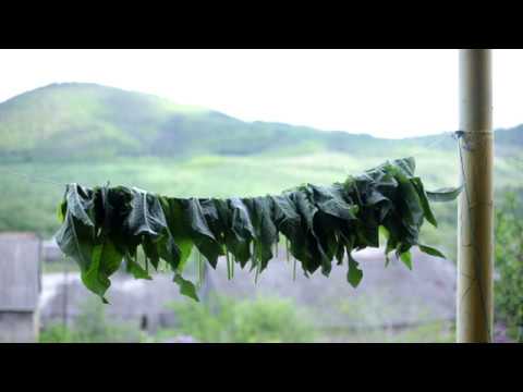 Видео: Ինչպե՞ս հյուսել ավելուկ/Как заплетать конский щавель/авелук?