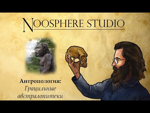 Видео: Антропология: Грацильные австралопитеки. Станислав Дробышевский