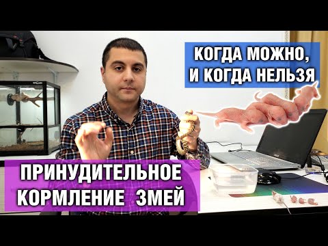 Видео: Принудительное кормление змей — Как накормить змею насильно, наглядный пример