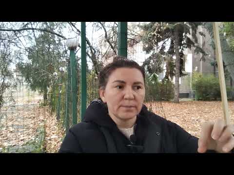 Видео: Эмоции: НАСТОЙЧИВОСТЬ 