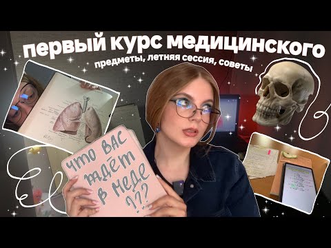 Видео: первый курс меда: как это было || предметы + летняя сессия🍃