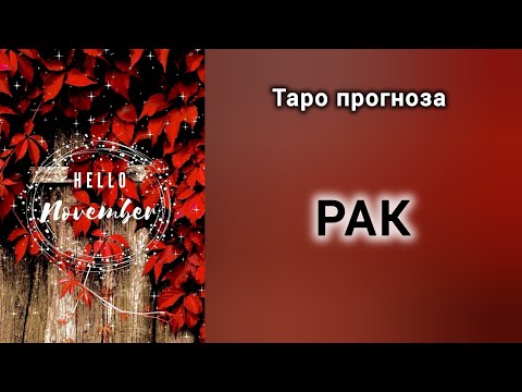 Видео: РАК ♋ Таро прогноза за НОЕМВРИ 2025