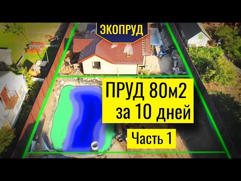 Видео: Пруд 80м2 за 10 дней(часть1)