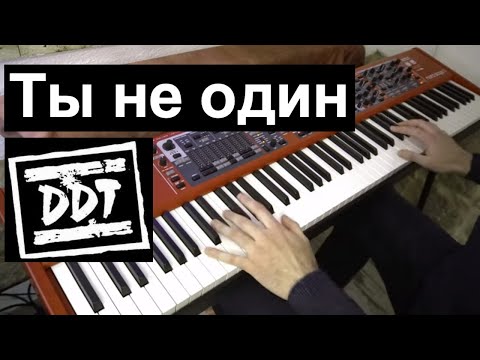 Видео: ДДТ - Ты не один | Кавер на фортепиано | Евгений Алексеев | DDT Юрий Шевчук