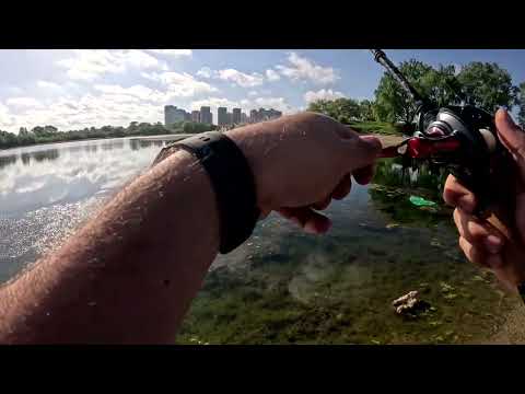 Видео: Тестируем Daiwa Steez CT TW 700 #baitcastingreel #baitcasting