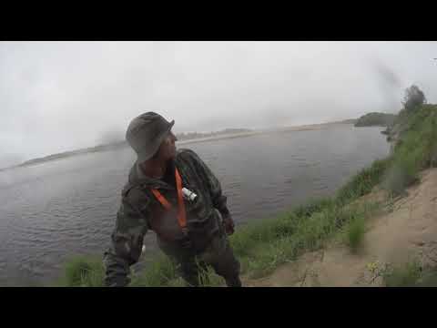 Видео: Щука на воблеры в коряжнике. Рыбалка в Архангельской области на реке Вага.