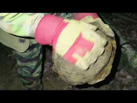 Видео: Коп в лесу от 2019. Александр(реставратор) 275