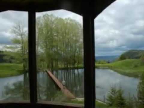 Видео: Веселин Джигов - Петлине пеят любе