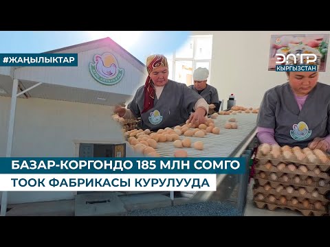 Видео: БАЗАР-КОРГОНДО 185 МЛН СОМГО ТООК ФАБРИКАСЫ КУРУЛУУДА
