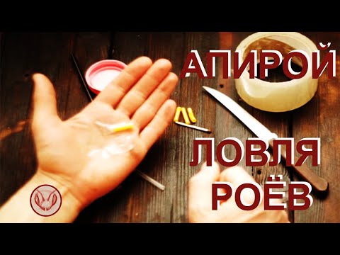 Видео: Апирой для Ловли роёв.  Изготовление ампул с апироем  Предотвращаем высыхание апироя.