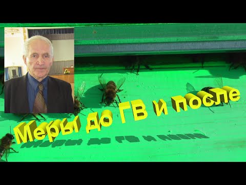 Видео: Профессор Кашковский о мерах до Главного Взятка и после
