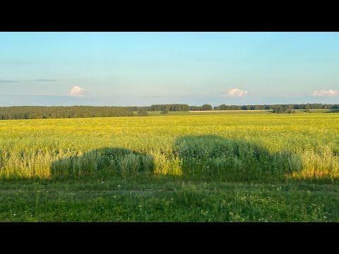 Видео: ОМСК👉🏻НОВОСИБИРСК #байкал