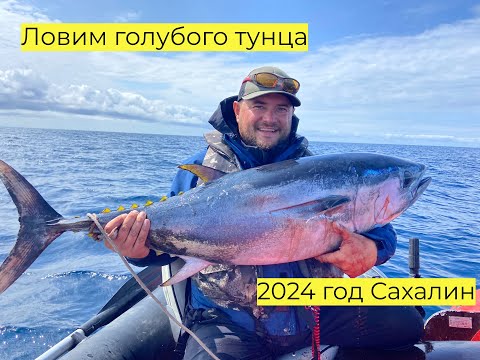 Видео: Ловим голубого тунца в кастинг на Сахалине в 2024  #сахалин #рыбалка #tuna #fishing #туризм #тунец