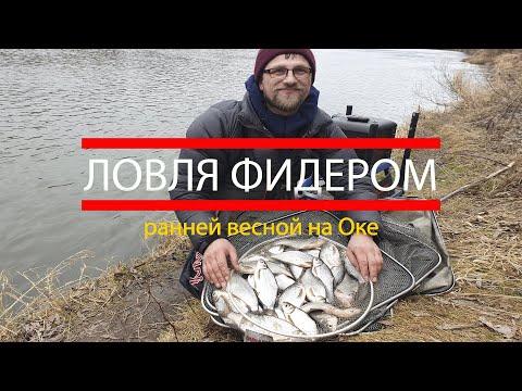 Видео: Рыбалка. Ловля фидером ранней весной на Оке. Рыбалка на фидер.  Секреты ловли на фидер.