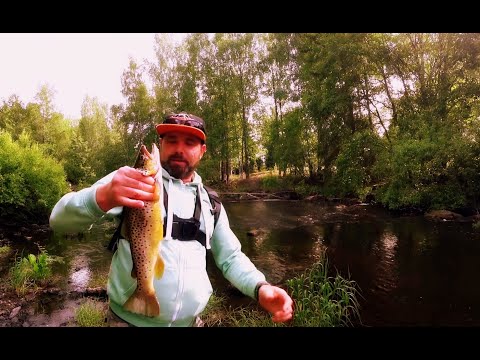 Видео: Супер Рыбалка в микроречках! #форель #ADVENTURESBROTHERS